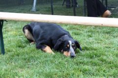 IMG_0390.JPG