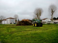 IMG_20130406_111649.jpg